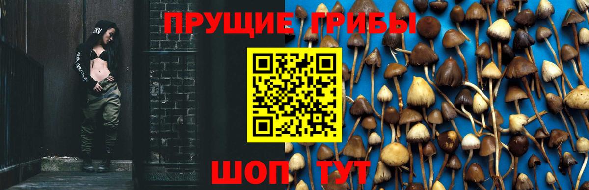 Россия  Галлюциногенные грибы мицелий  Псилоцибиновые грибы Psilocybine cubensis  Вход с VPN 